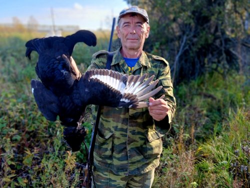 Ещё петушок.