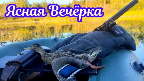 Охотничья вечёрка | Откровенный разговор