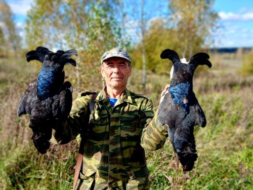 Хороши!