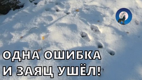ОХОТА НА ЗАЙЦА ПО ПЕРВОМУ СНЕГУ