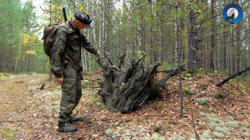 ТРИ ДНЯ В КРАЮ ТАЁЖНОМ. ПЕРВЫЙ РЯБЧИК СЕЗОНА. МАНОК И ГОРИЗОНТАЛКА. СТАРЫЙ БАЛАГАН УКРЫЛ ОТ  ДОЖДЯ