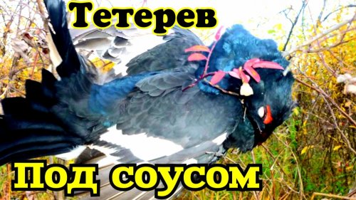 Тетерев под Брусничном соусом | Дичь | Огонь блюдо