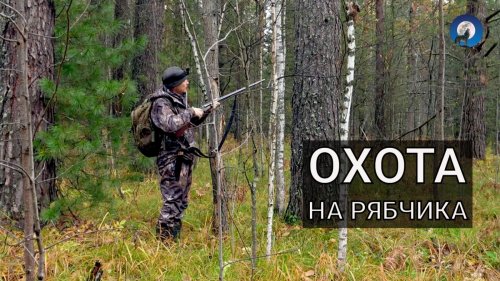 ОХОТА НА РЯБЧИКА. КТО РАСПУГАЛ ГЛУХАРЕЙ В ТАЙГЕ?
