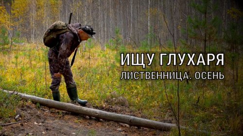 ОХОТА НА РЯБЧИКА. ЧТО СНЯЛА ФОТОЛОВУШКА В ГЛУХОЙ ТАЙГЕ?
