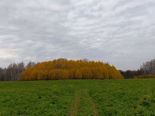 Вот и осень....