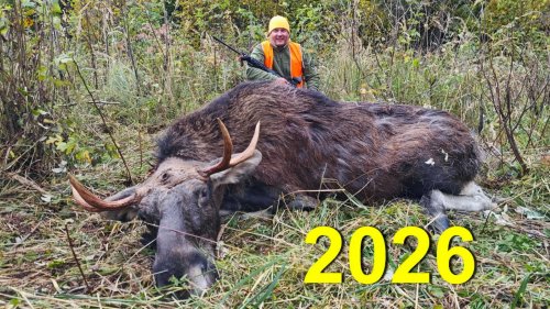 Охота НА ЛОСЯ. Открытие 2026
