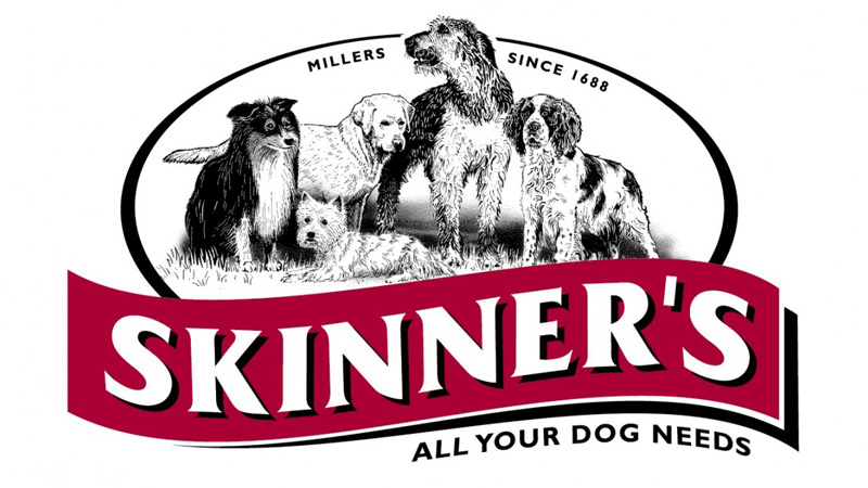 Логотип компании Skinners