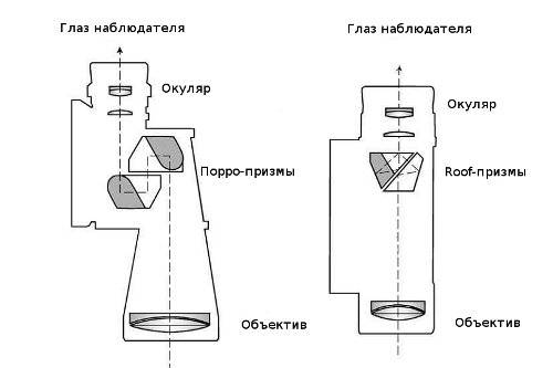 Бинокль для охоты как выбрать