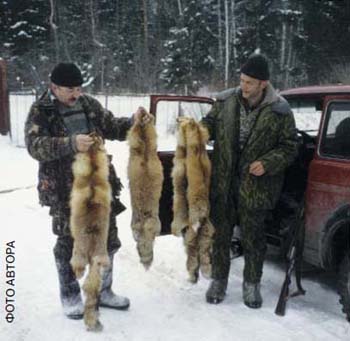 охота на лисиц раньше