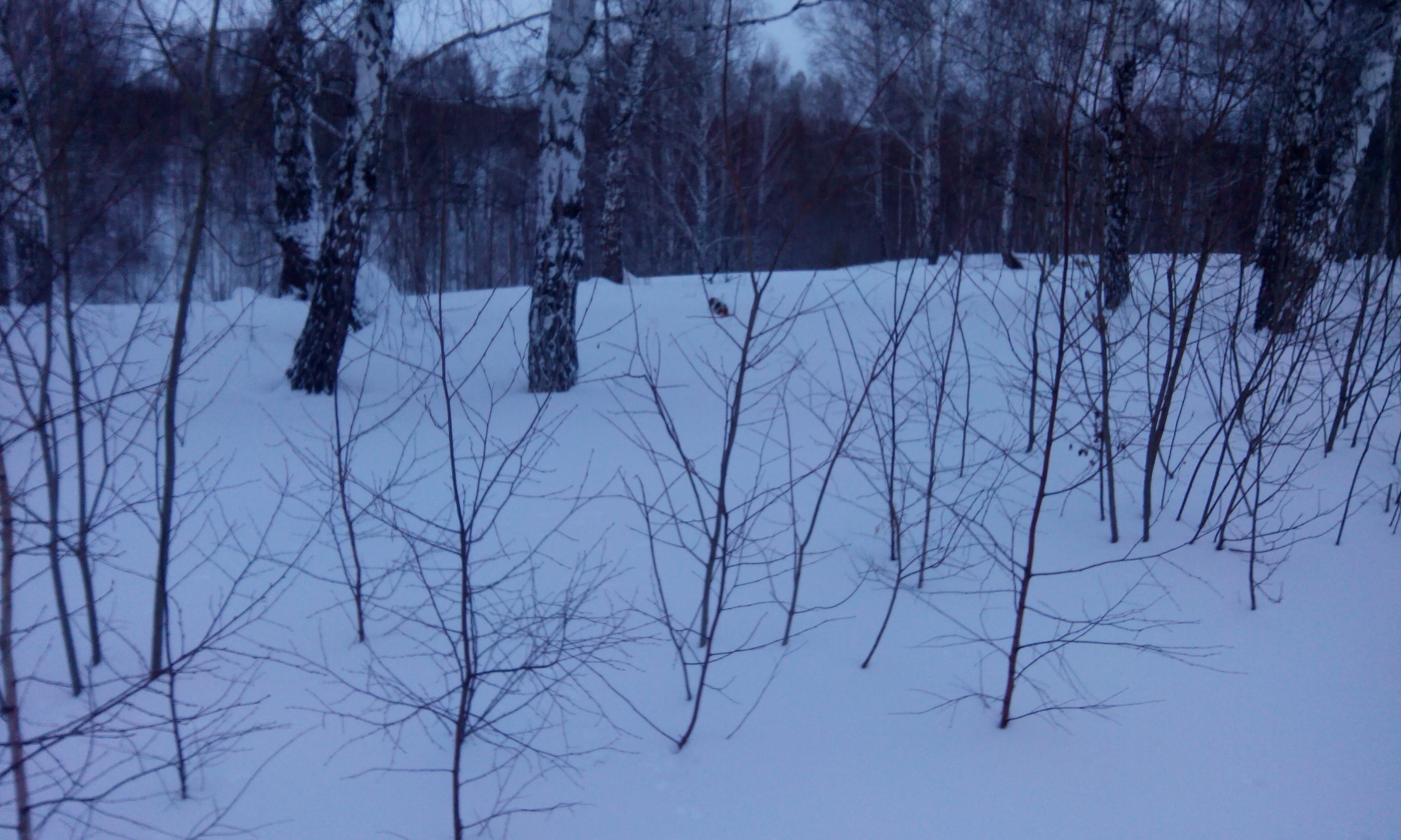 IMG-20160207-WA0000.jpeg