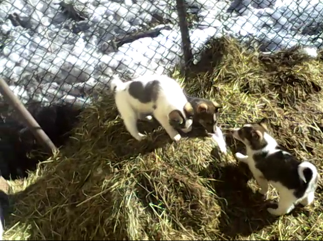 2016-03-11 07.05.57.png