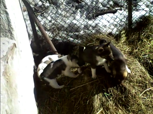 2016-03-11 07.06.53.png