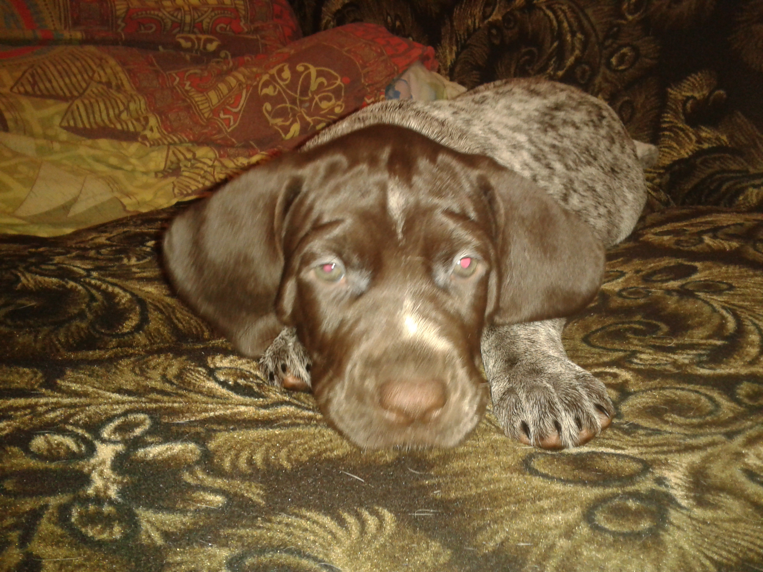 2016-03-12 18.16.17.jpg