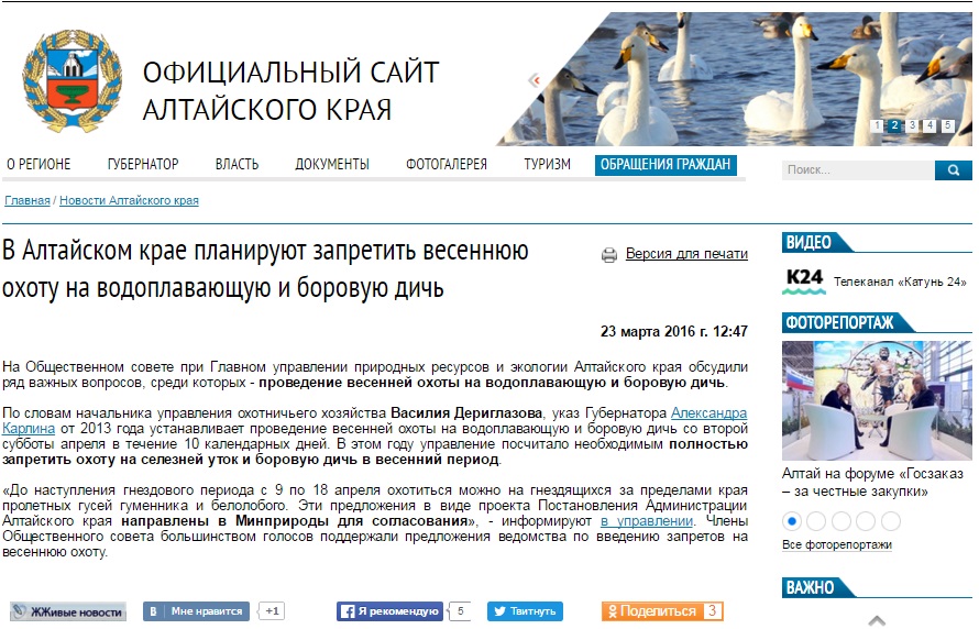 скрин.jpg