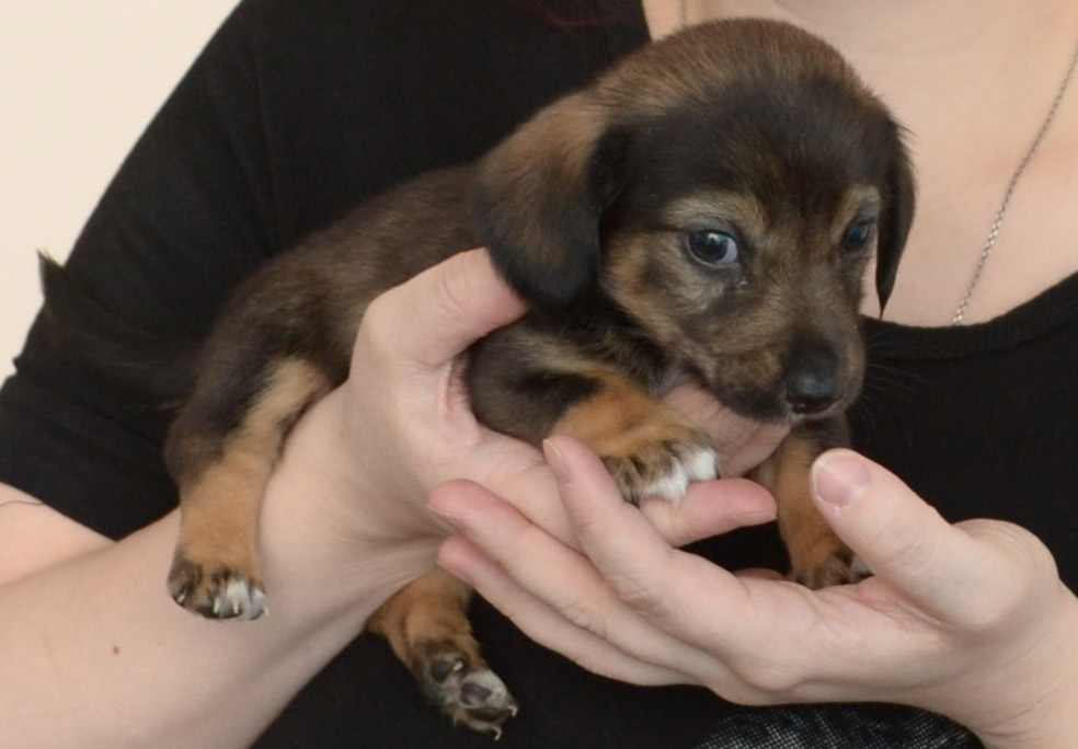 Без имени-1.jpg