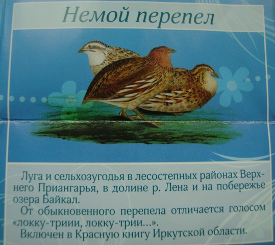 15.JPG