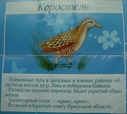 14.JPG