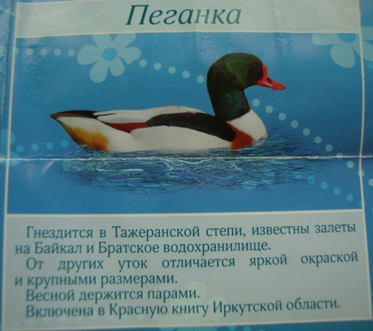 17.JPG
