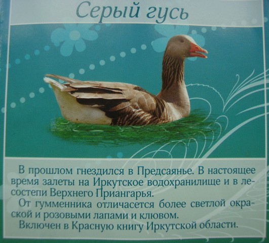 20.JPG