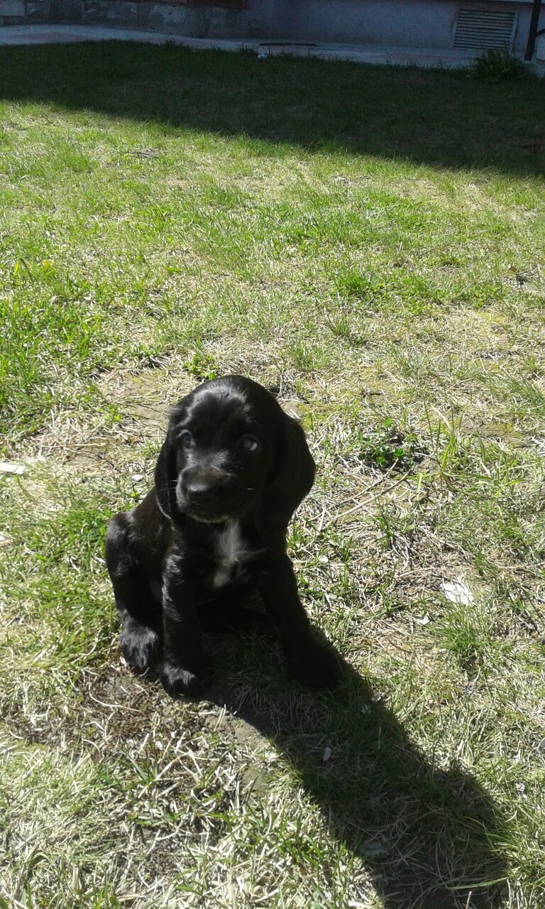 На прогулке.jpg