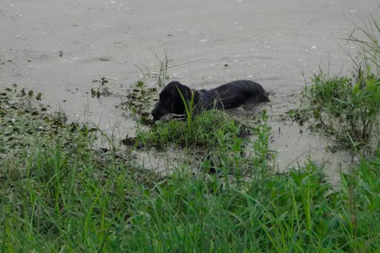 Гарант вода.jpg
