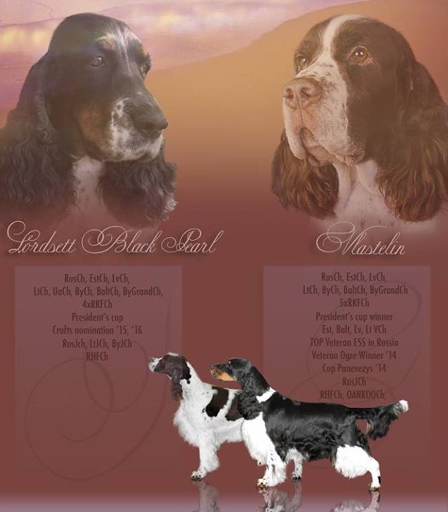 АЛИНА КОЛЛ.jpg