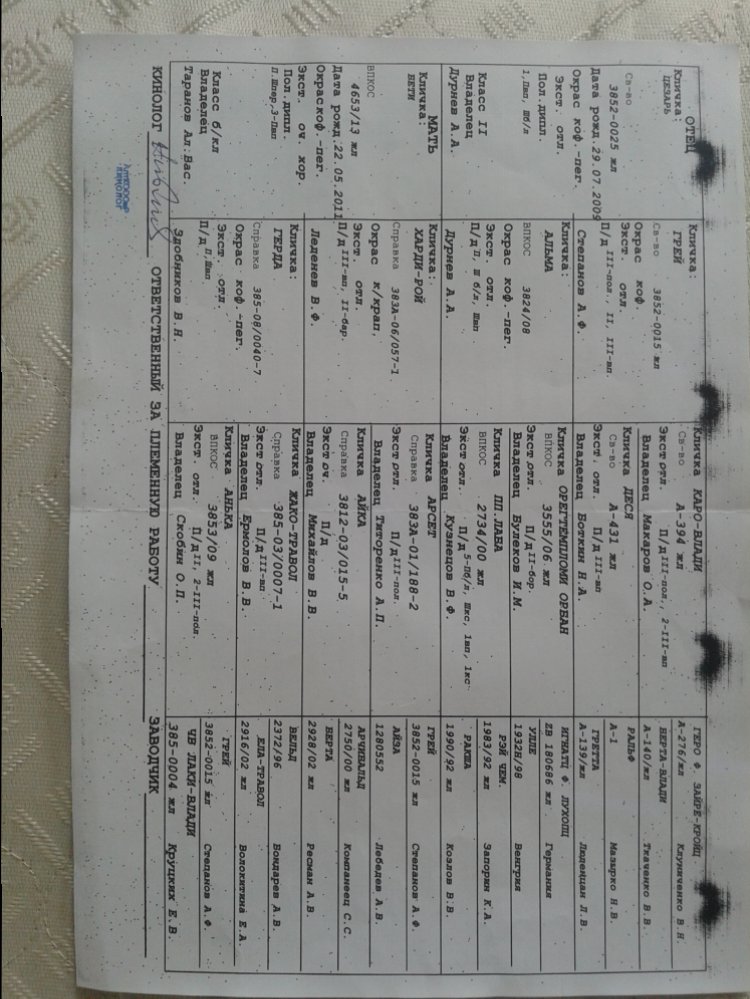 2016-05-29 14.44.41.jpg