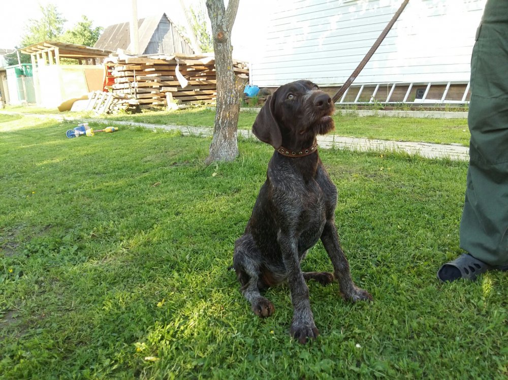 2016-05-29 21.31.53.jpg