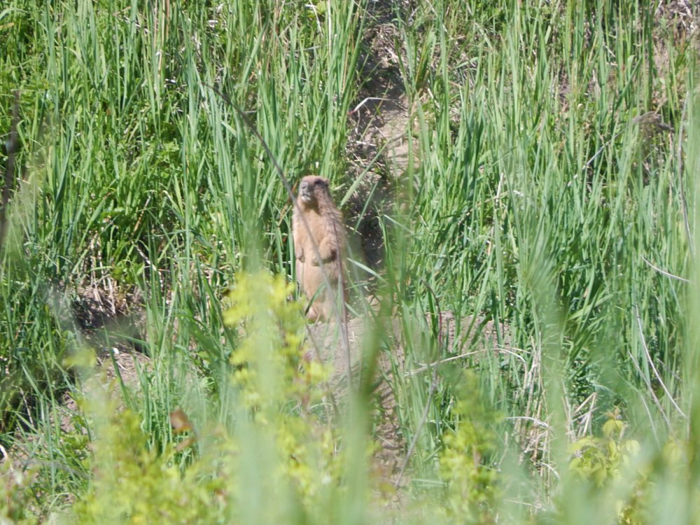 DSCN1403.JPG