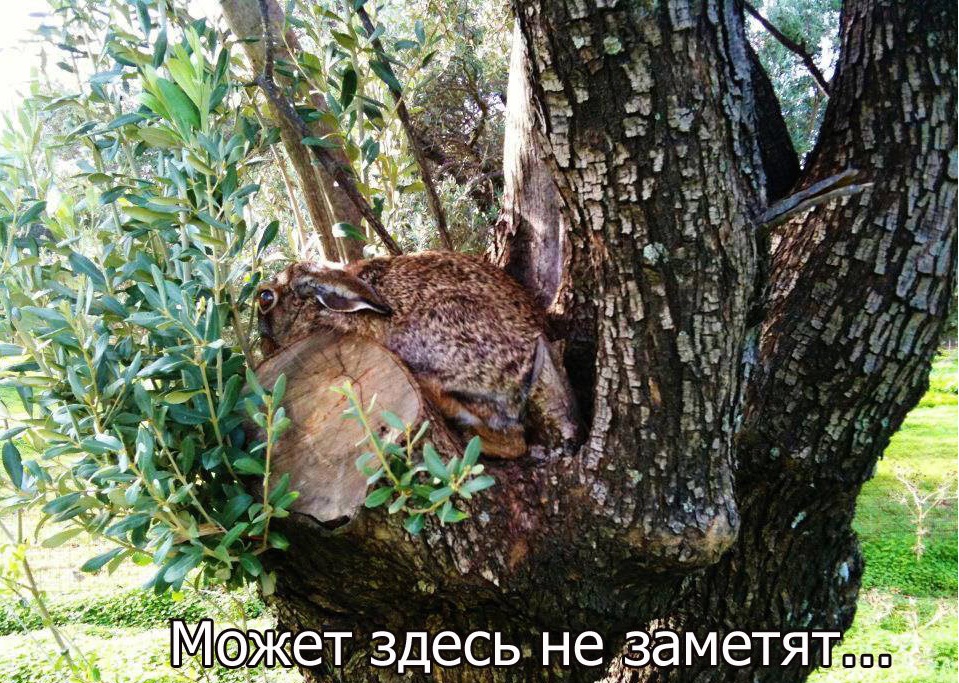 Может здесь не заметят.jpg