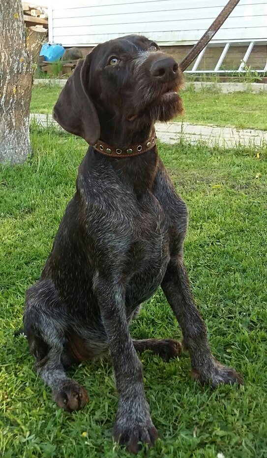 2016-06-15 23.48.53.jpg