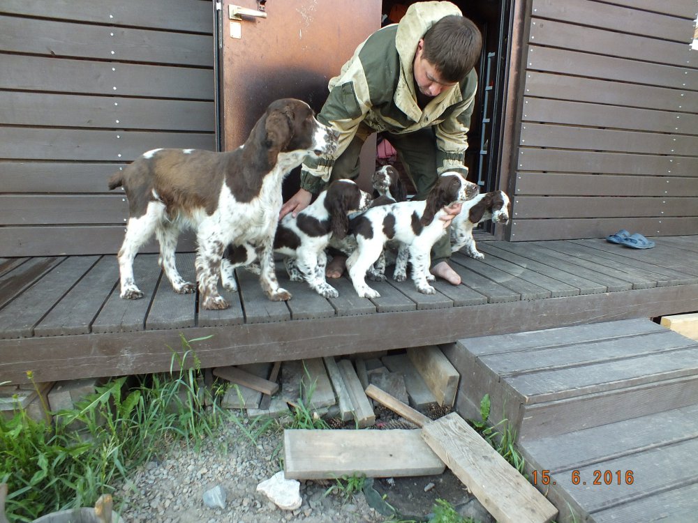 DSCF2687.JPG