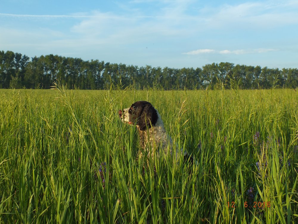 DSCF8045.JPG
