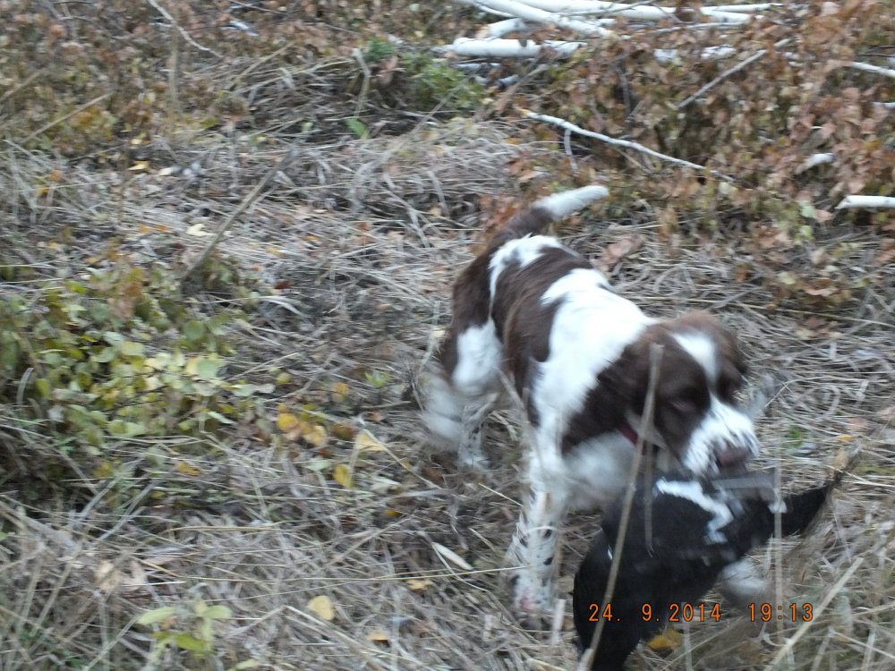 DSCF1162.JPG