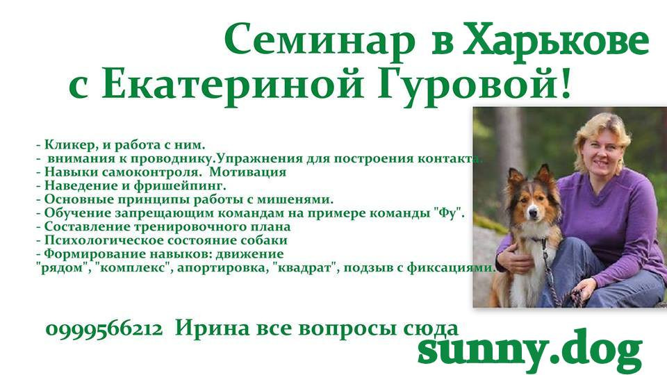 ренр.jpg
