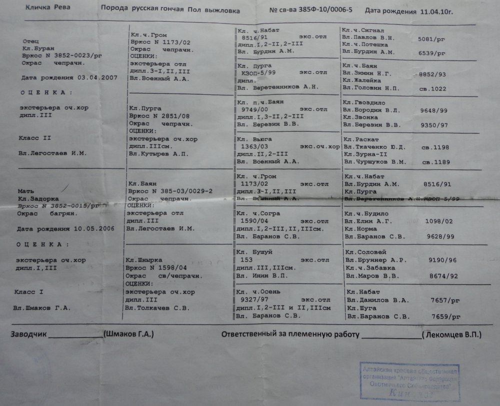 родословная мать Рёва.JPG