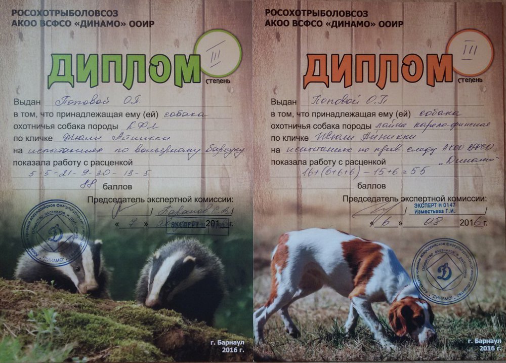 Нора барсук и кровь.jpg