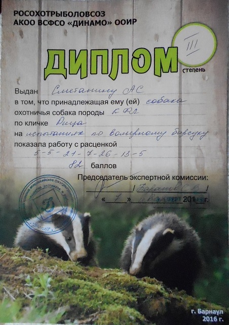 Рица барсук.jpg