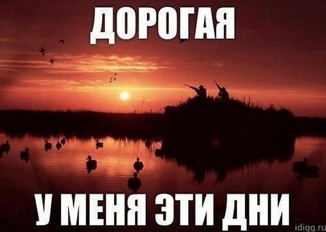 дни.jpg