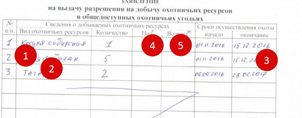 Заявление о выдаче разрешения на добычу охотничьих ресурсов образец