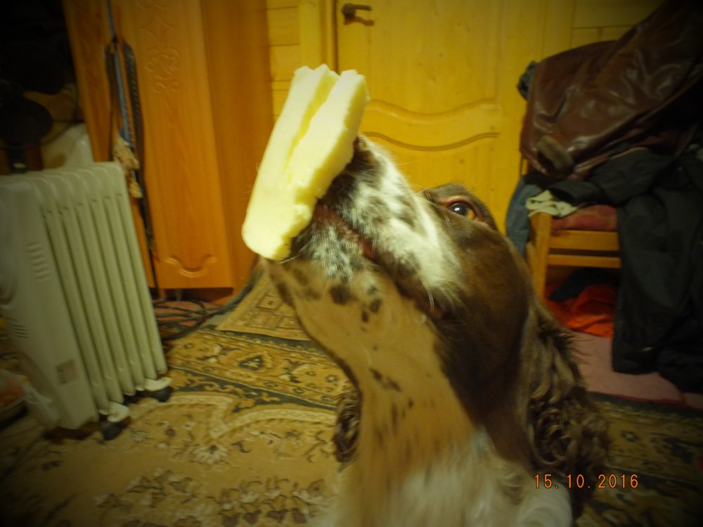 DSCF8151.JPG