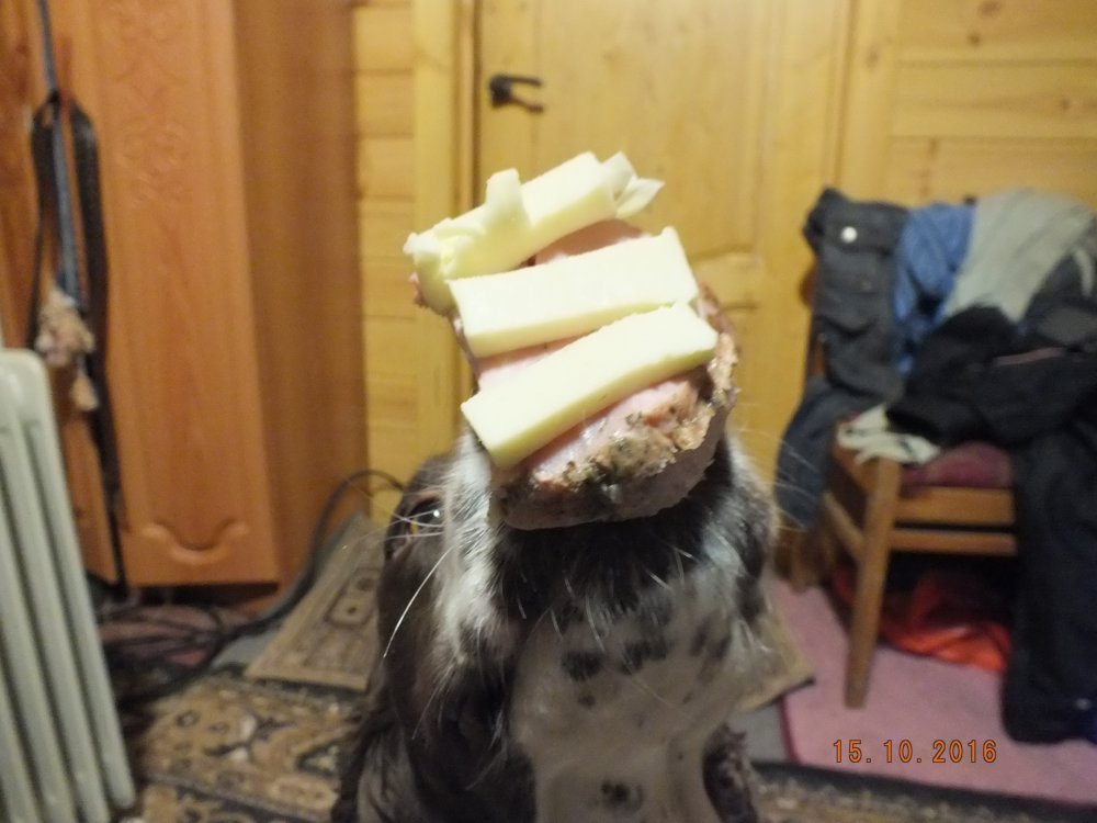 DSCF8156.JPG
