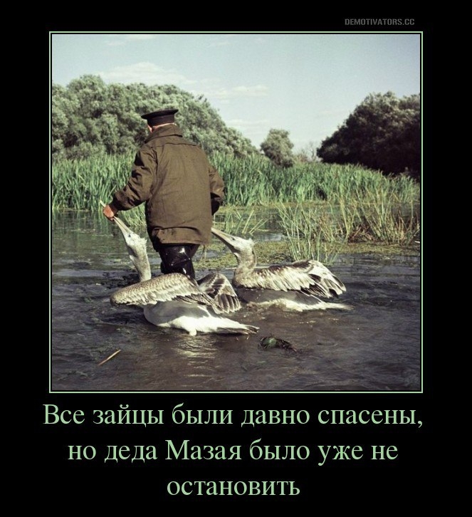 VK_Saved_Photo_ 636133241034837423.jpg