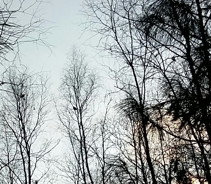 20161030_131537-2.jpg