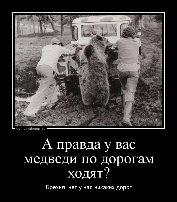 demotivatorium_ru_a_pravda_u_vas_medvedi_po_dorogam_hodjat_49371.jpg