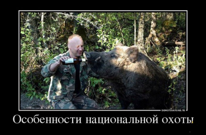 9f5827599e711a2565daa93de9920df0-nacionalnaya_ohota.gallery.jpg
