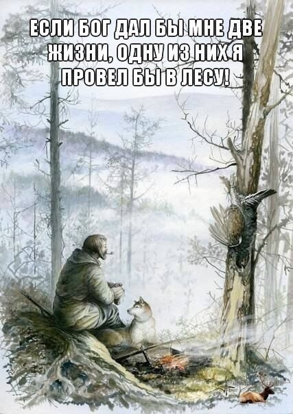 VK_Saved_Photo_ 636134962980387444.jpg