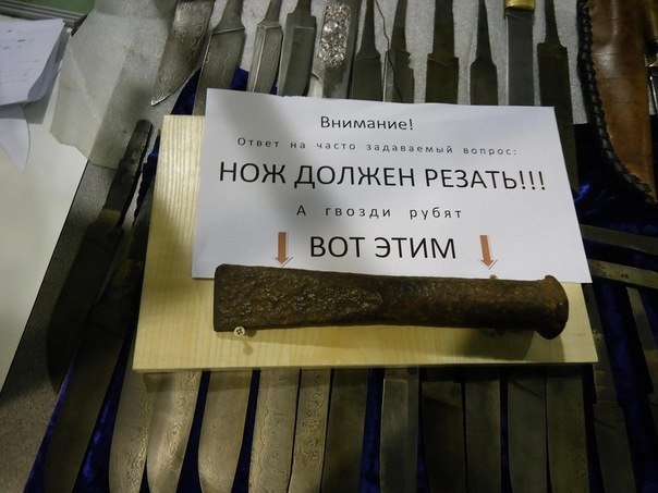 VK_Saved_Photo_ 636135223763429874.jpg