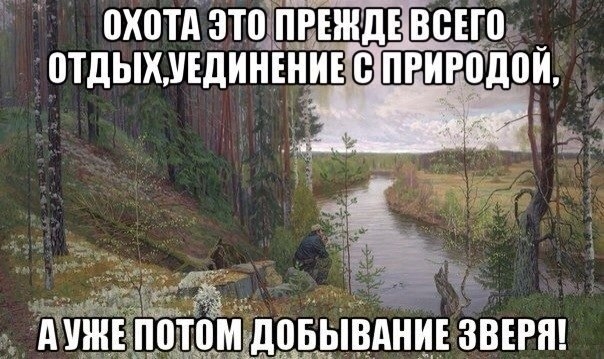VK_Saved_Photo_ 636135235035161800.jpg