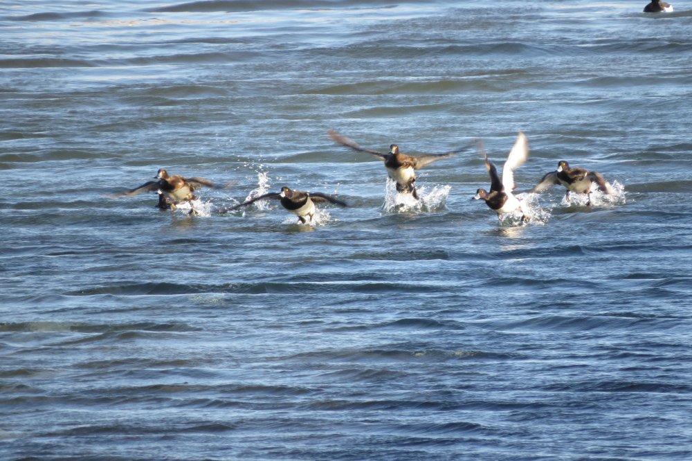 25 апр 16 г 043.jpg